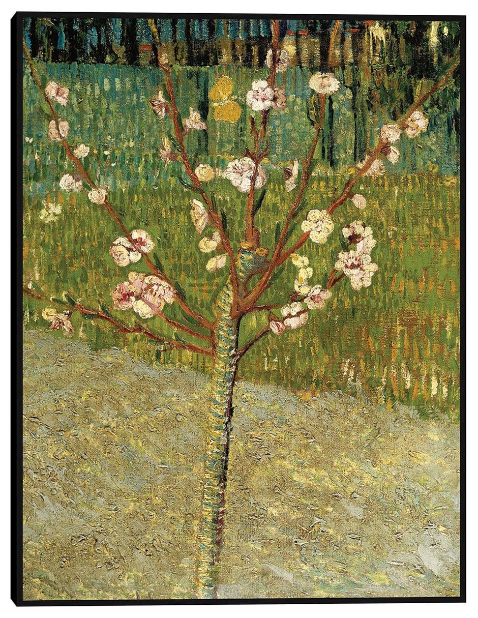 Cuadro decorativo Almendro en flor técnica mixta Floración Cuadro decorativo Almendro en flor técnica mixta Floración