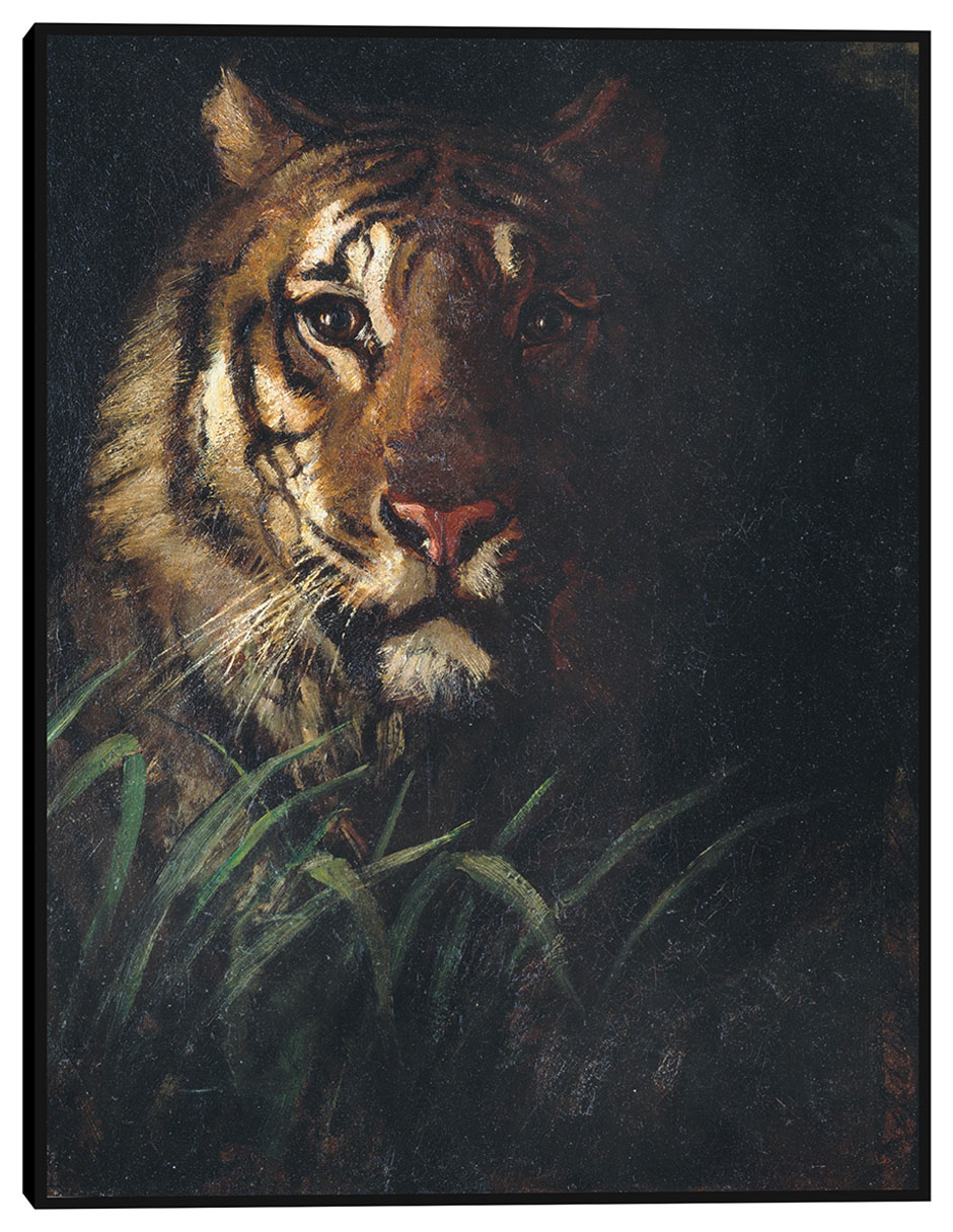 Cuadro decorativo Cabeza de tigre (hacia 1874) técnica mixta Vida Silvestre
