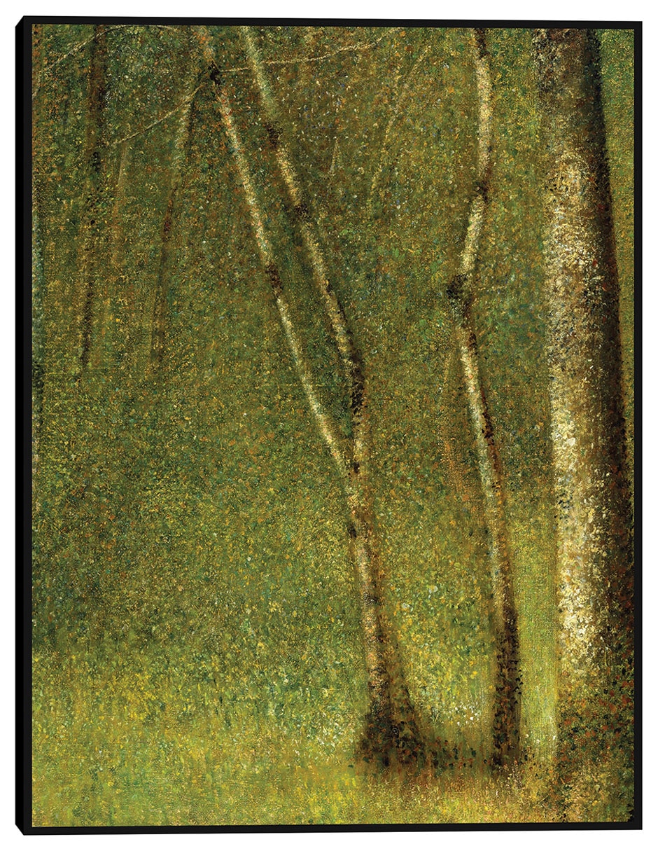 Cuadro decorativo El bosque de Pontaubert (1881) técnica mixta Bosques 1