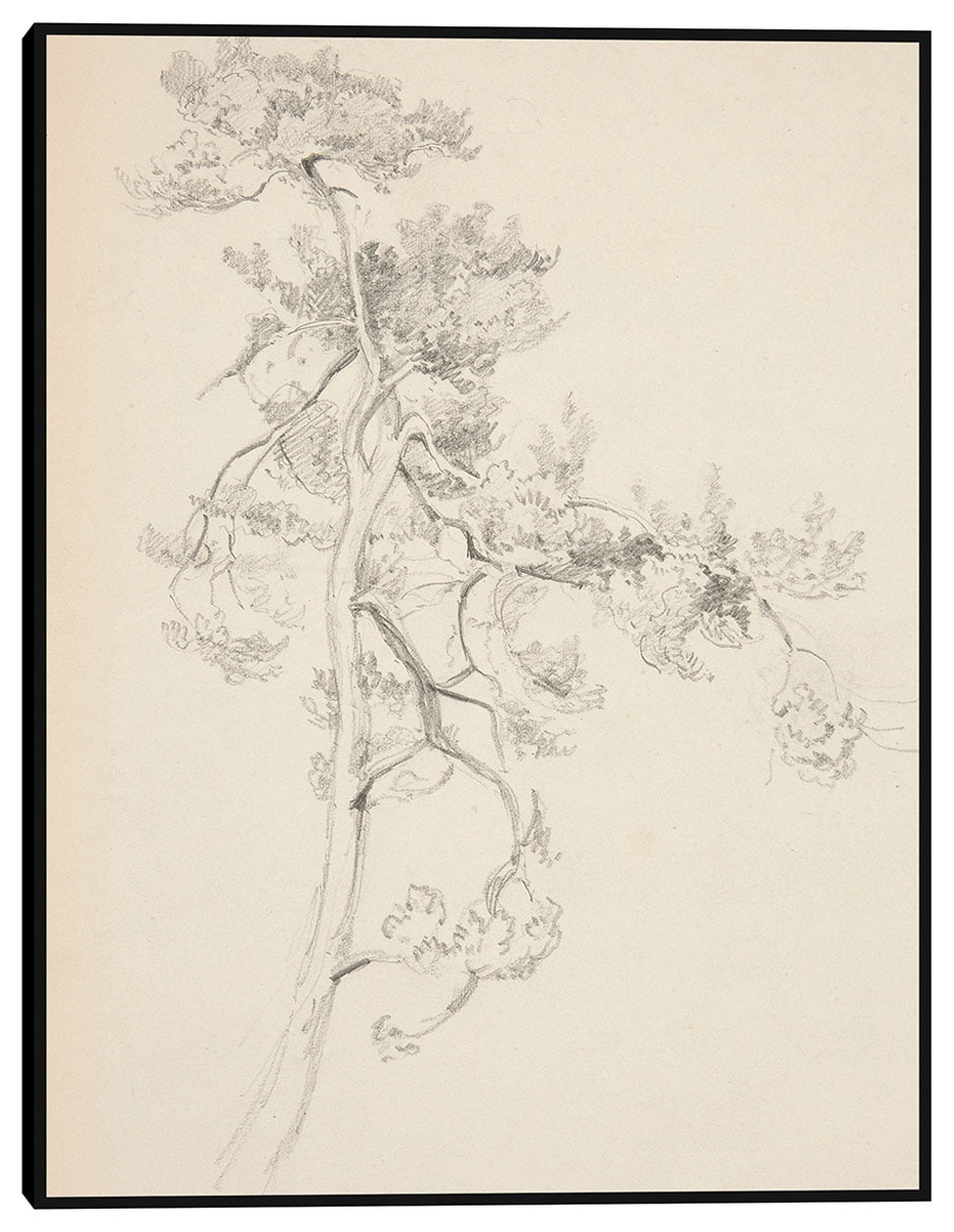 Cuadro decorativo Árbol y follaje técnica mixta Formas Cuadro decorativo Árbol y follaje técnica mixta Formas