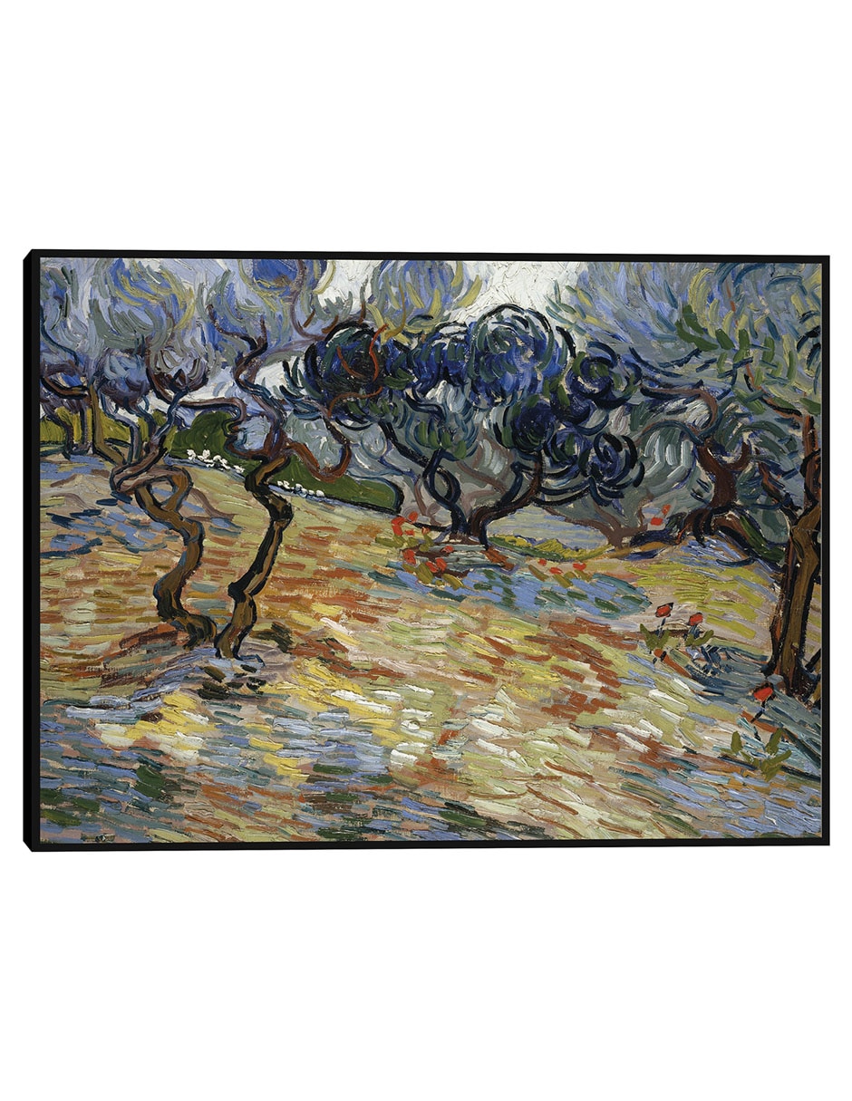 Cuadro decorativo Olivos técnica mixta Campos Cuadro decorativo Olivos técnica mixta Campos