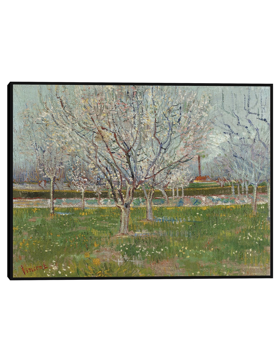 Cuadro decorativo Huerto en flor (ciruelos) técnica mixta Campos Cuadro decorativo Huerto en flor (ciruelos) técnica mixta Campos
