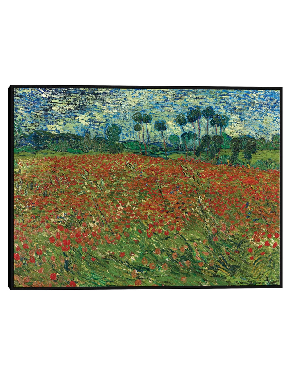 Cuadro decorativo Campo De Amapolas técnica mixta Campos Cuadro decorativo Campo De Amapolas técnica mixta Campos