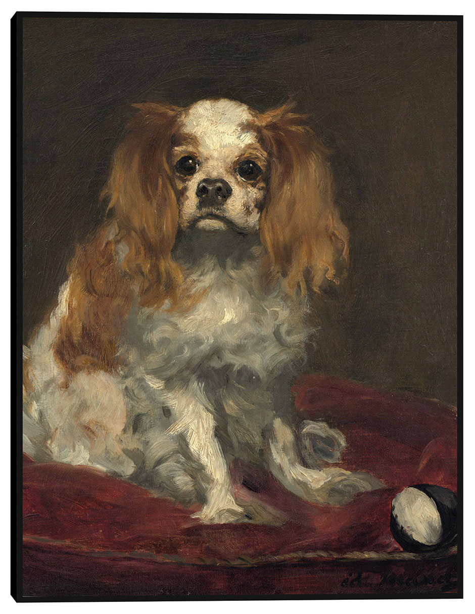 Cuadro decorativo Un rey charles spaniel técnica mixta Animales Domésticos