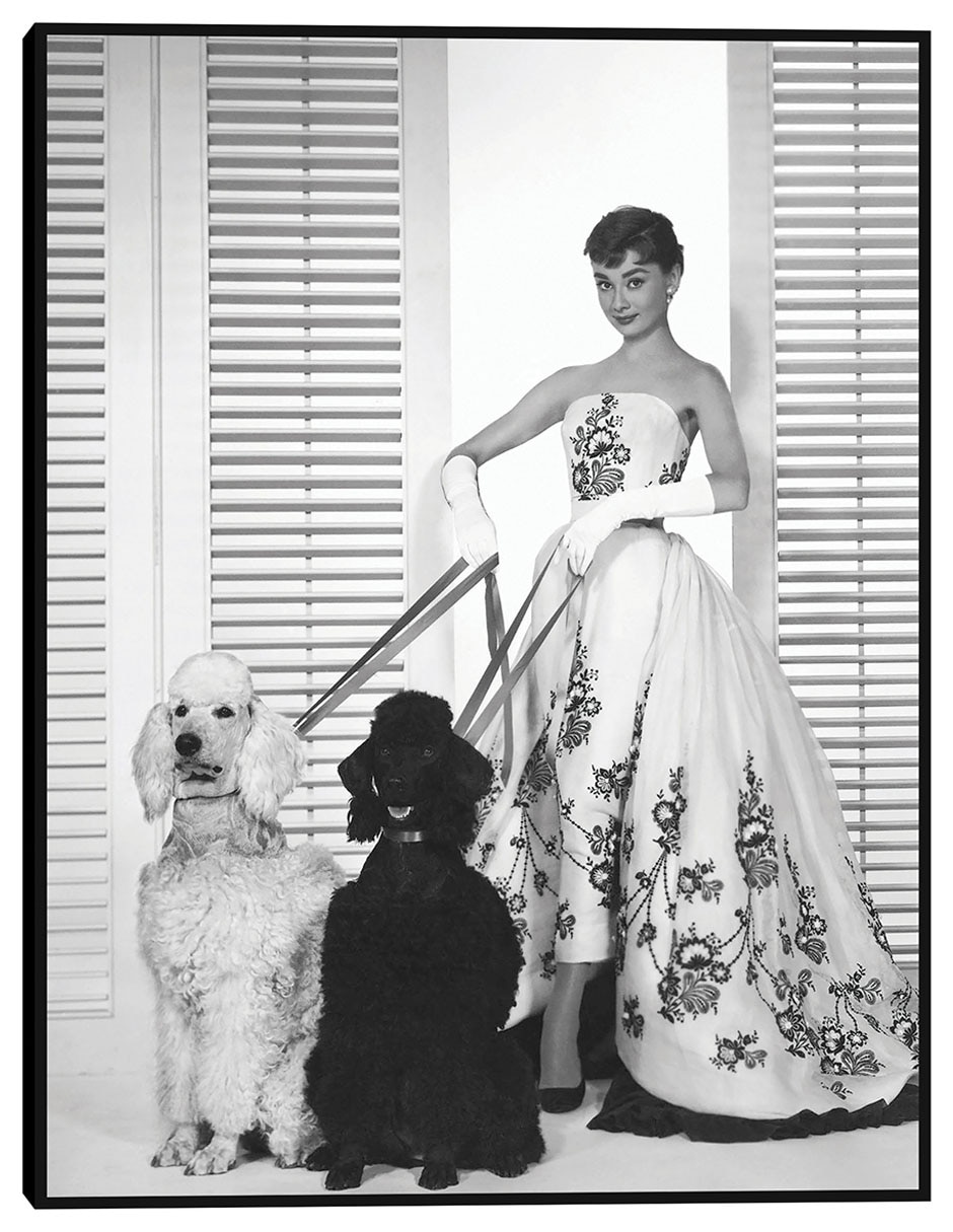 Cuadro decorativo Audrey Hepburn en Sabrina (1954) técnica mixta Retratos
