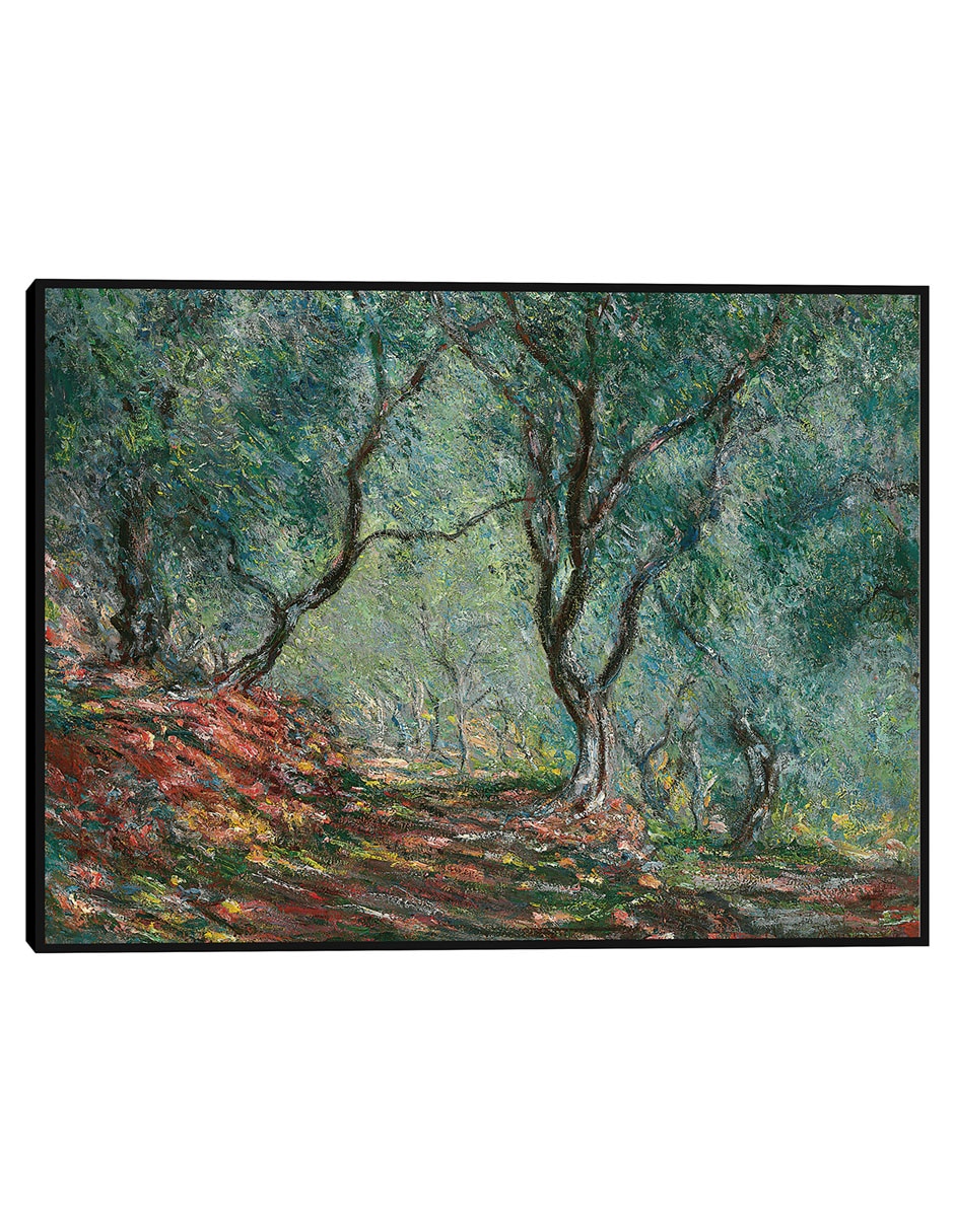 Cuadro decorativo Bosque de oliviers en el jardín Moreno (1884) técnica mixta Campos Cuadro decorativo Bosque de oliviers en el jardín Moreno (1884) técnica mixta Campos