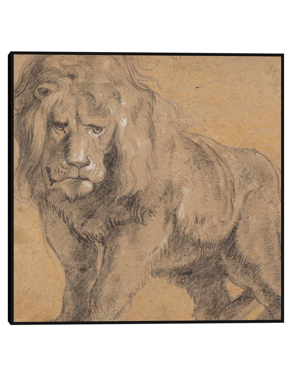 Cuadro decorativo León (c. 1612-1613) técnica mixta Bocetos Cuadro decorativo León (c. 1612-1613) técnica mixta Bocetos