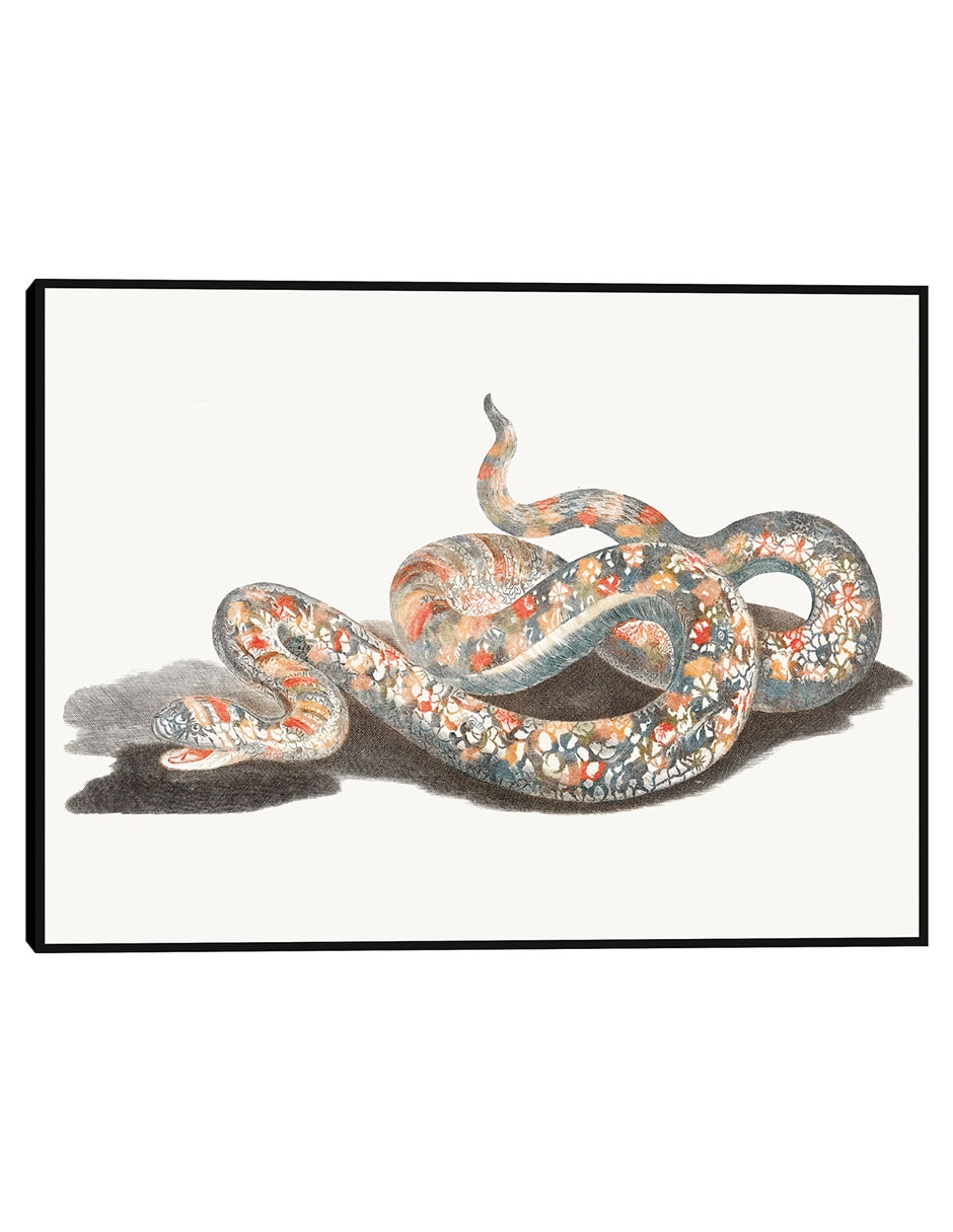 Cuadro decorativo Una Serpiente técnica mixta Obras Cuadro decorativo Una Serpiente técnica mixta Obras