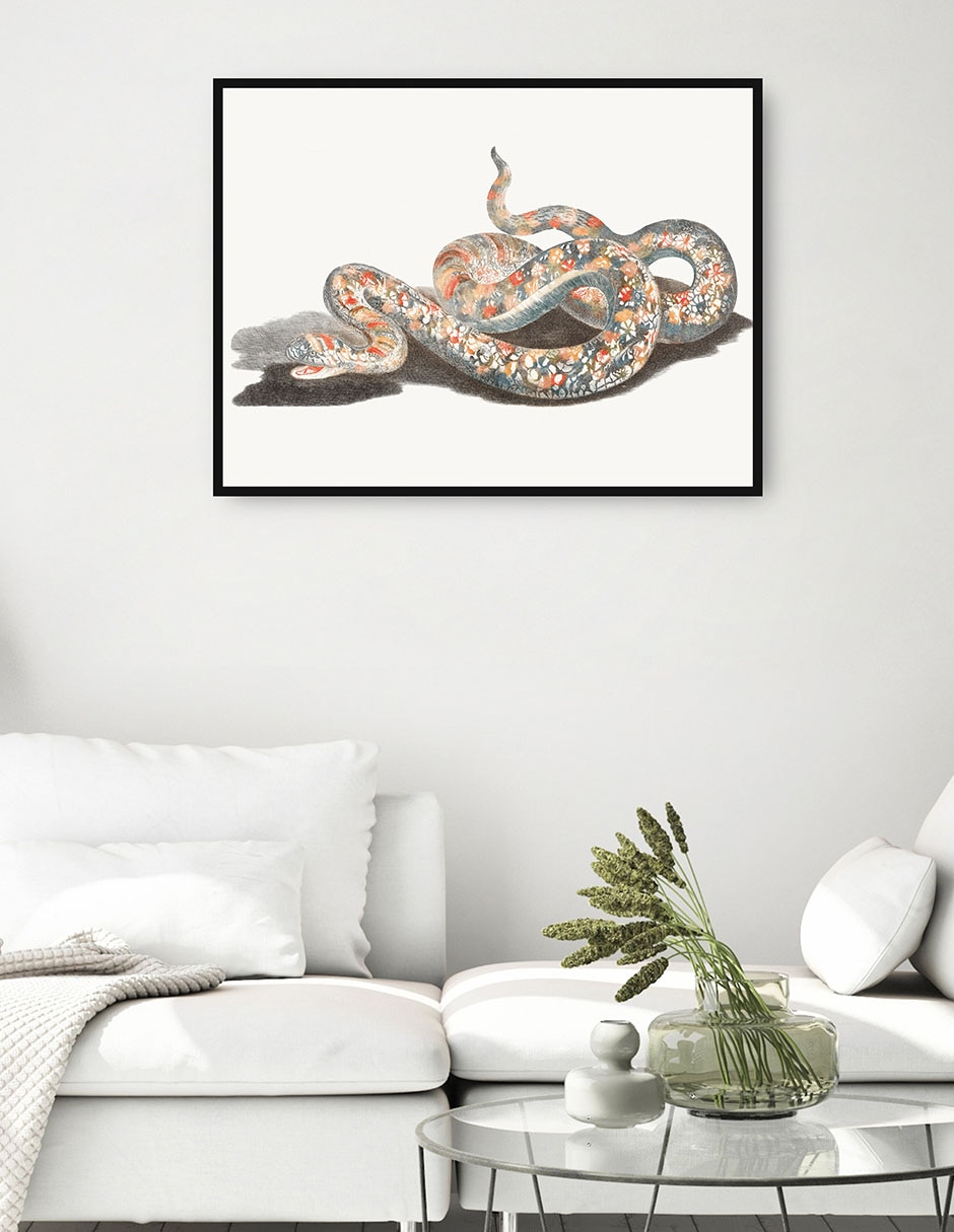 Cuadro decorativo Una Serpiente técnica mixta Obras 4