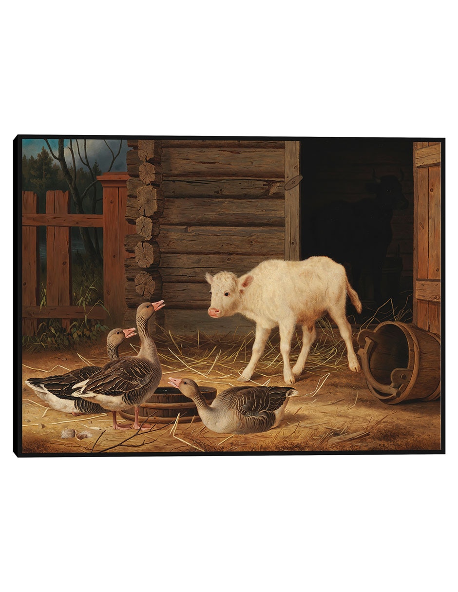 Cuadro decorativo Par De Eiders Comunes Sobre Una Roca (1869) técnica mixta Vida Silvestre Cuadro decorativo Par De Eiders Comunes Sobre Una Roca (1869) técnica mixta Vida Silvestre