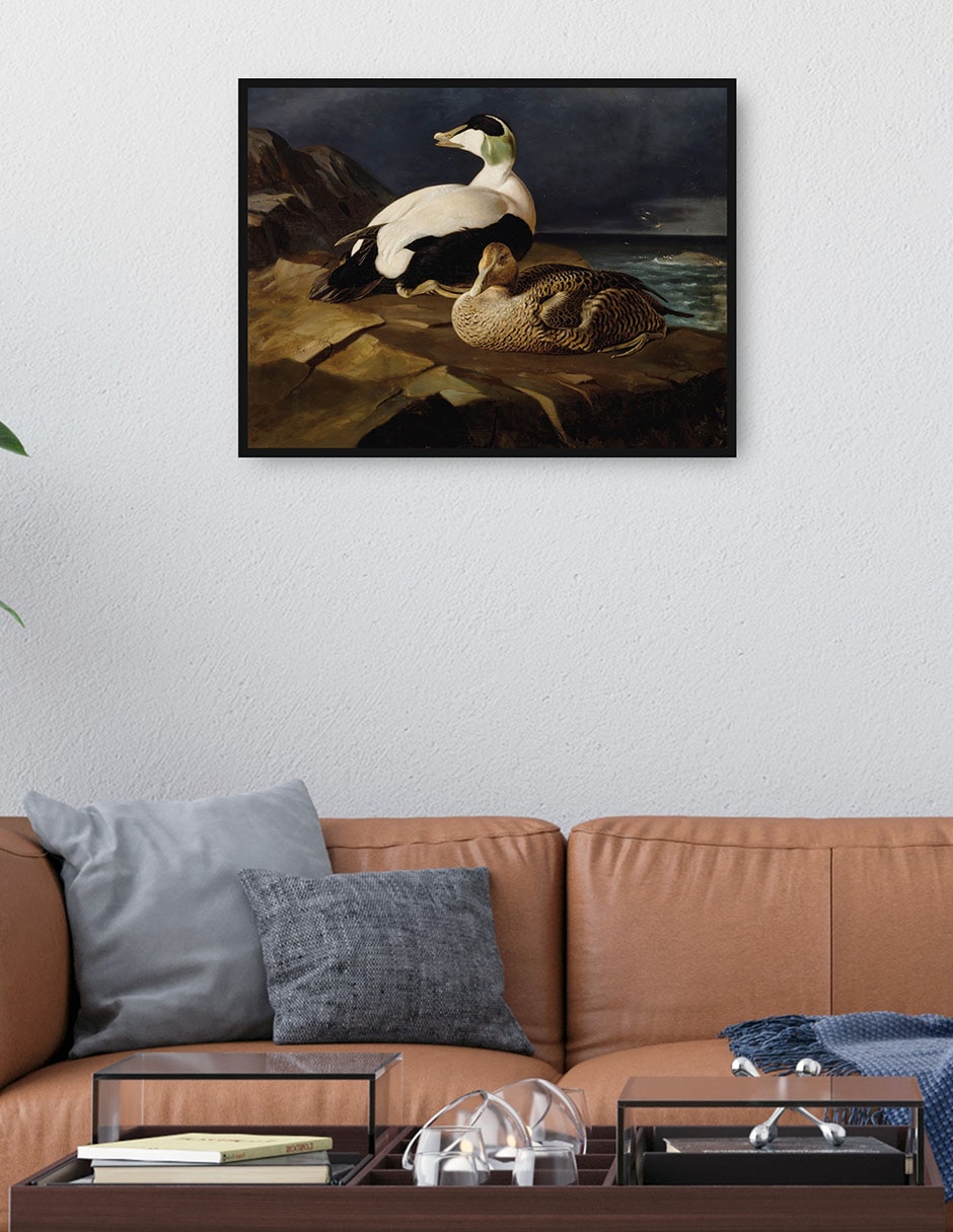 Cuadro decorativo Ánade Real (1848) técnica mixta Inspiración 4