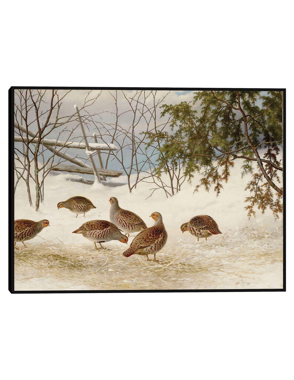Cuadro decorativo Urracas Alrededor De Un Urogallo Hembra Muerta (1867) técnica mixta Caminos Cuadro decorativo Urracas Alrededor De Un Urogallo Hembra Muerta (1867) técnica mixta Caminos