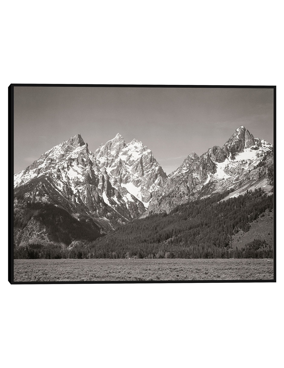 Cuadro decorativo Parque Nacional Teton, Wyoming técnica mixta Montañas