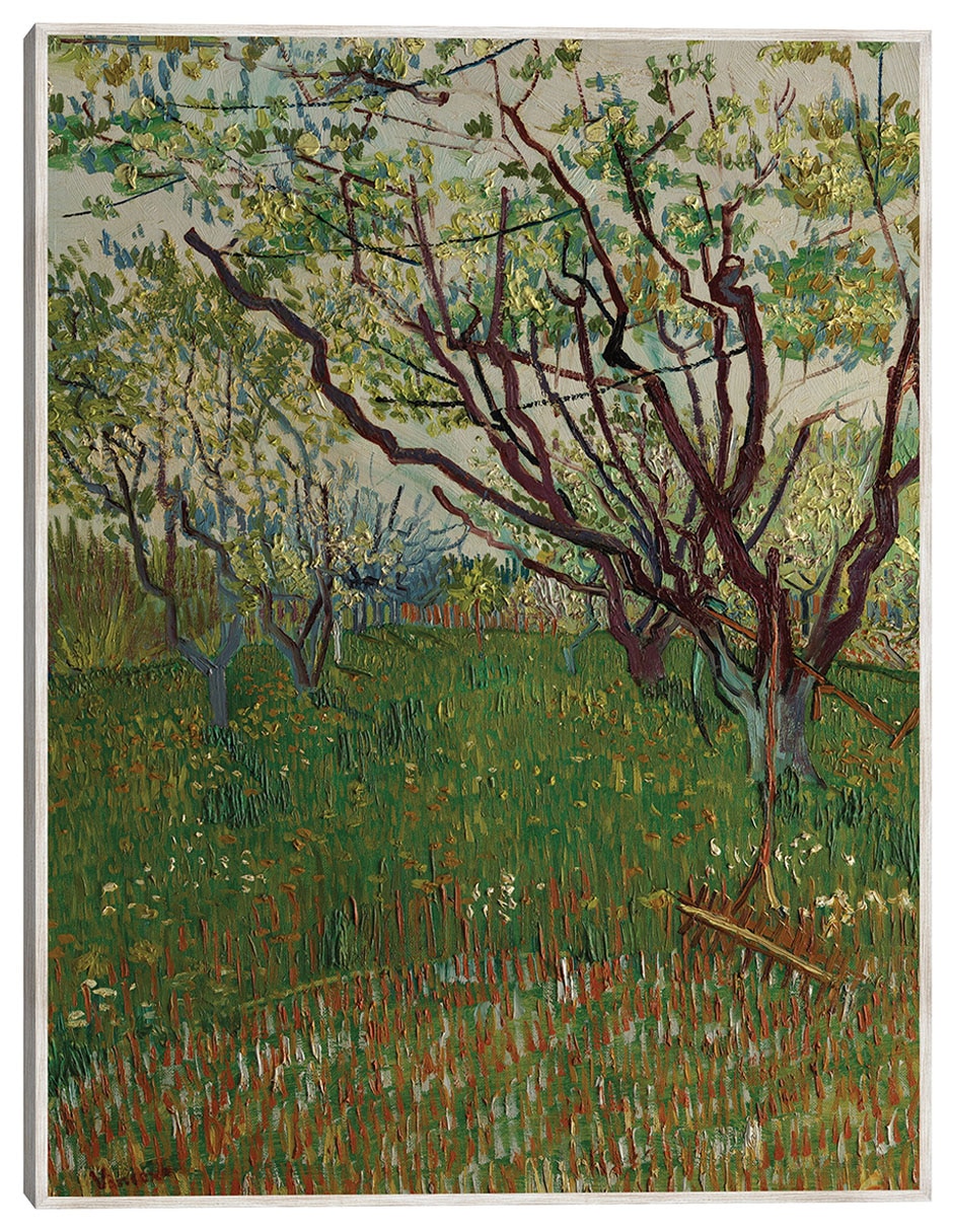 Cuadro decorativo El Huerto Floreciente (1888) técnica mixta Campos Cuadro decorativo El Huerto Floreciente (1888) técnica mixta Campos