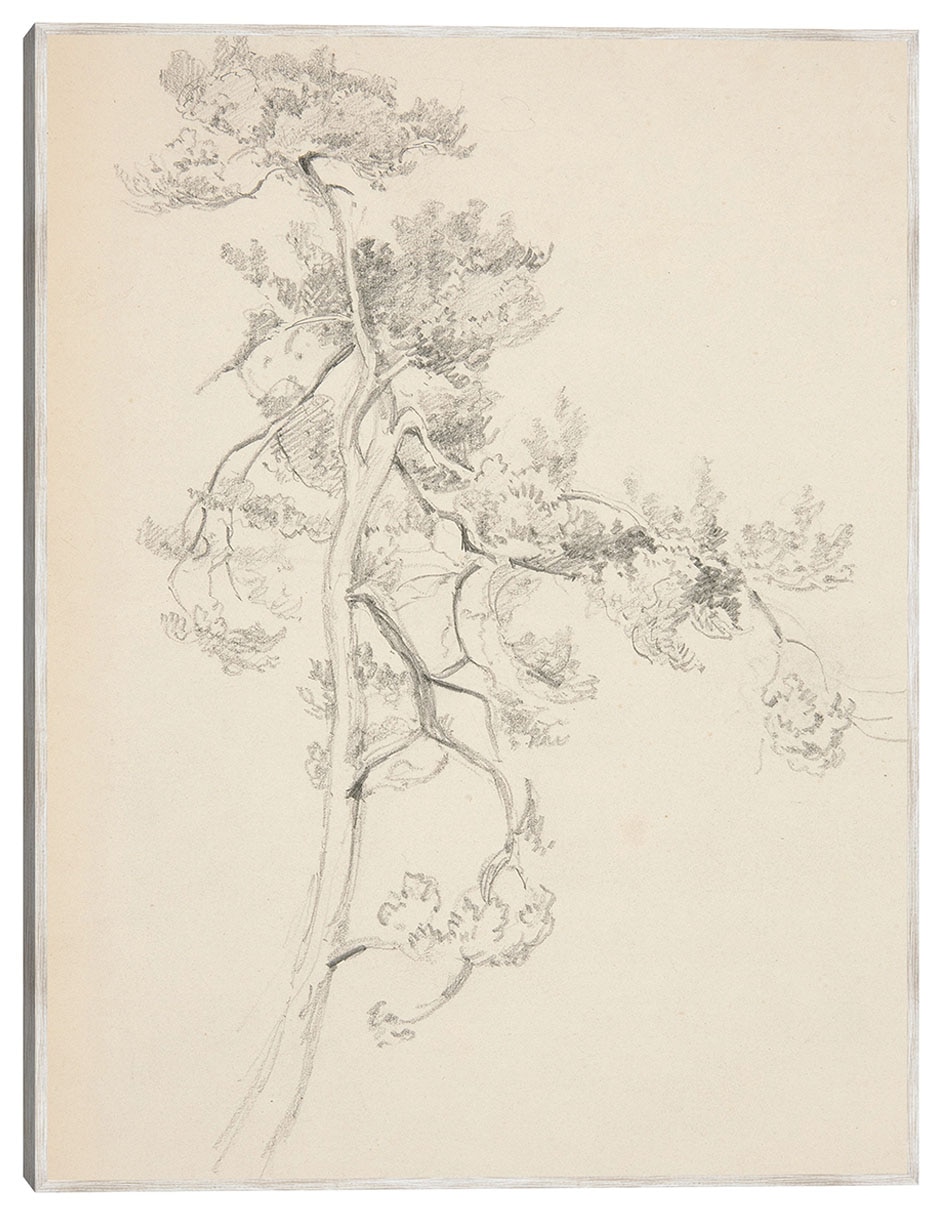 Cuadro decorativo Árbol Y Follaje técnica mixta Bocetos