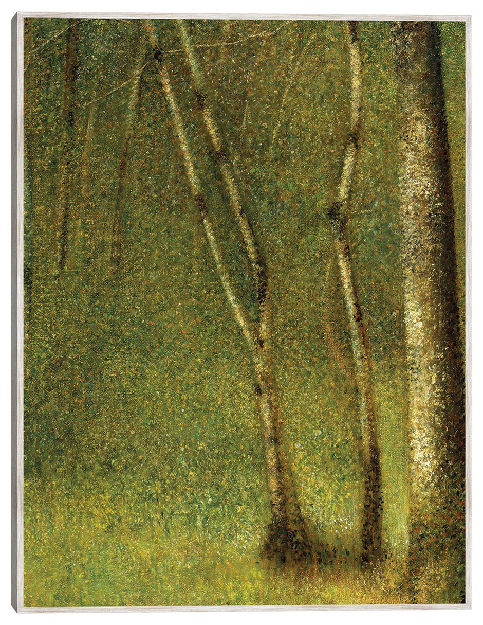 Cuadro decorativo El Bosque De Pontaubert (1881) técnica mixta Bosques Cuadro decorativo El Bosque De Pontaubert (1881) técnica mixta Bosques