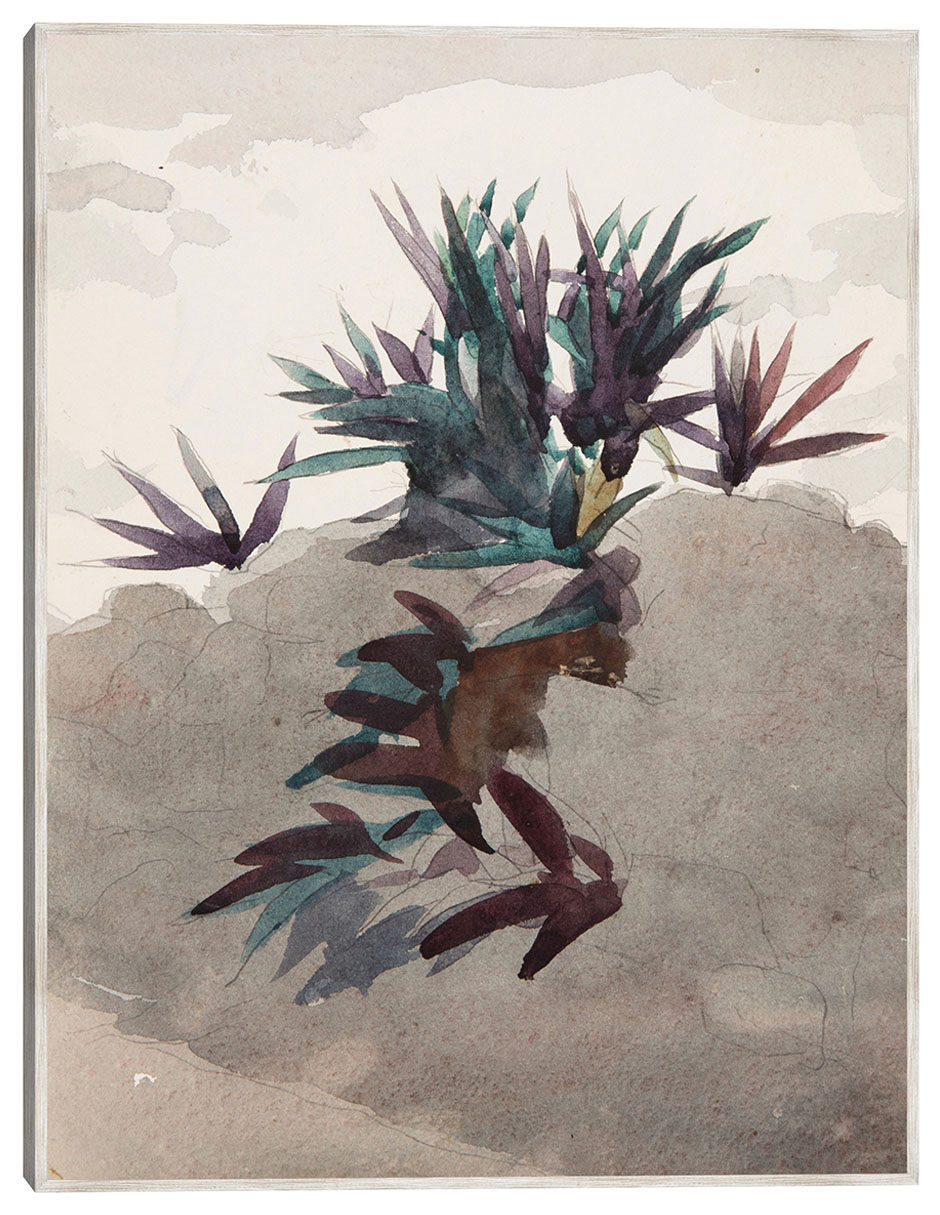 Cuadro decorativo Ladera Con Macizos de Maguey (1898-1899) técnica mixta Formas 1