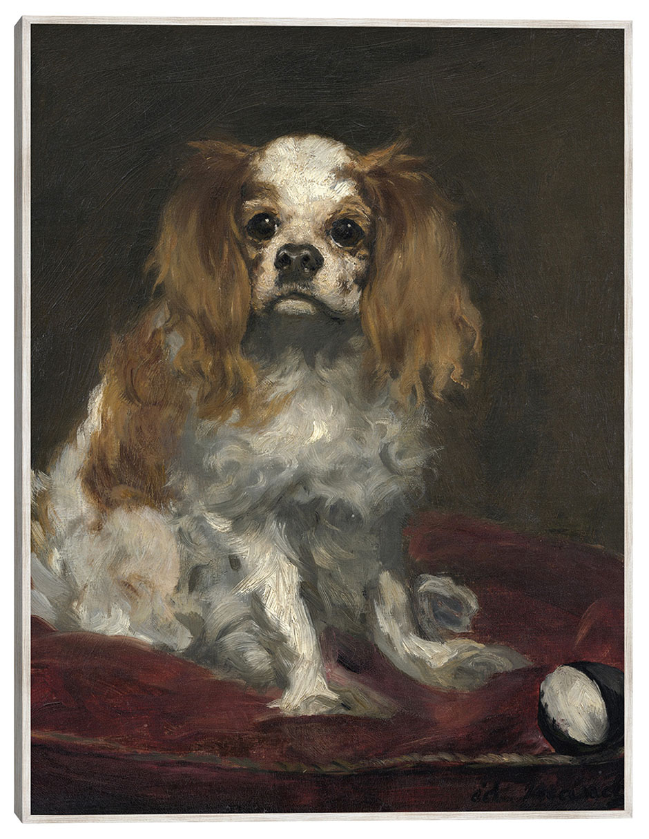 Cuadro decorativo Un Rey Charles Spaniel (C. 1866) técnica mixta Animales Domésticos