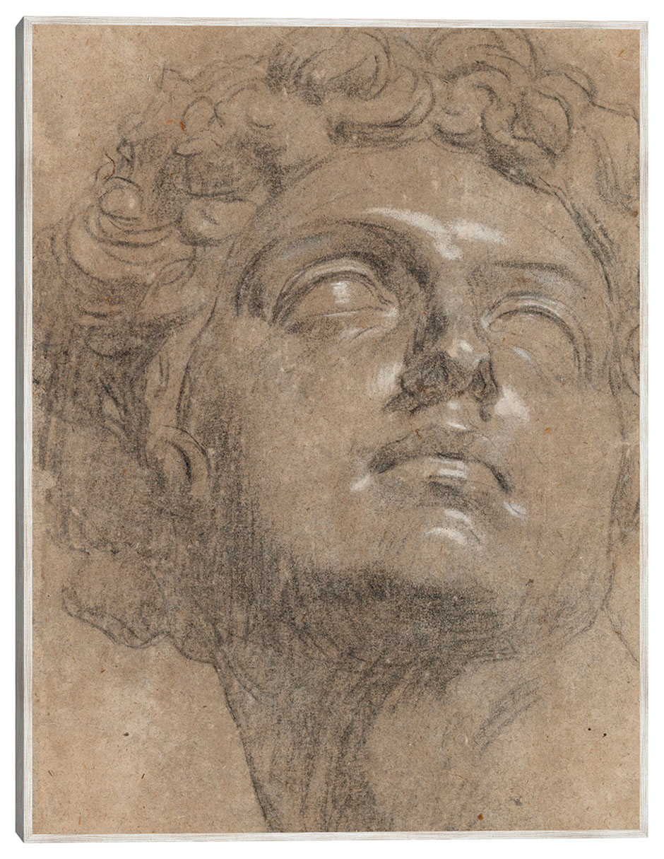 Cuadro decorativo Cabeza de Giuliano de Medici (Década de 1540) técnica mixta Arte Cuadro decorativo Cabeza de Giuliano de Medici (Década de 1540) técnica mixta Arte