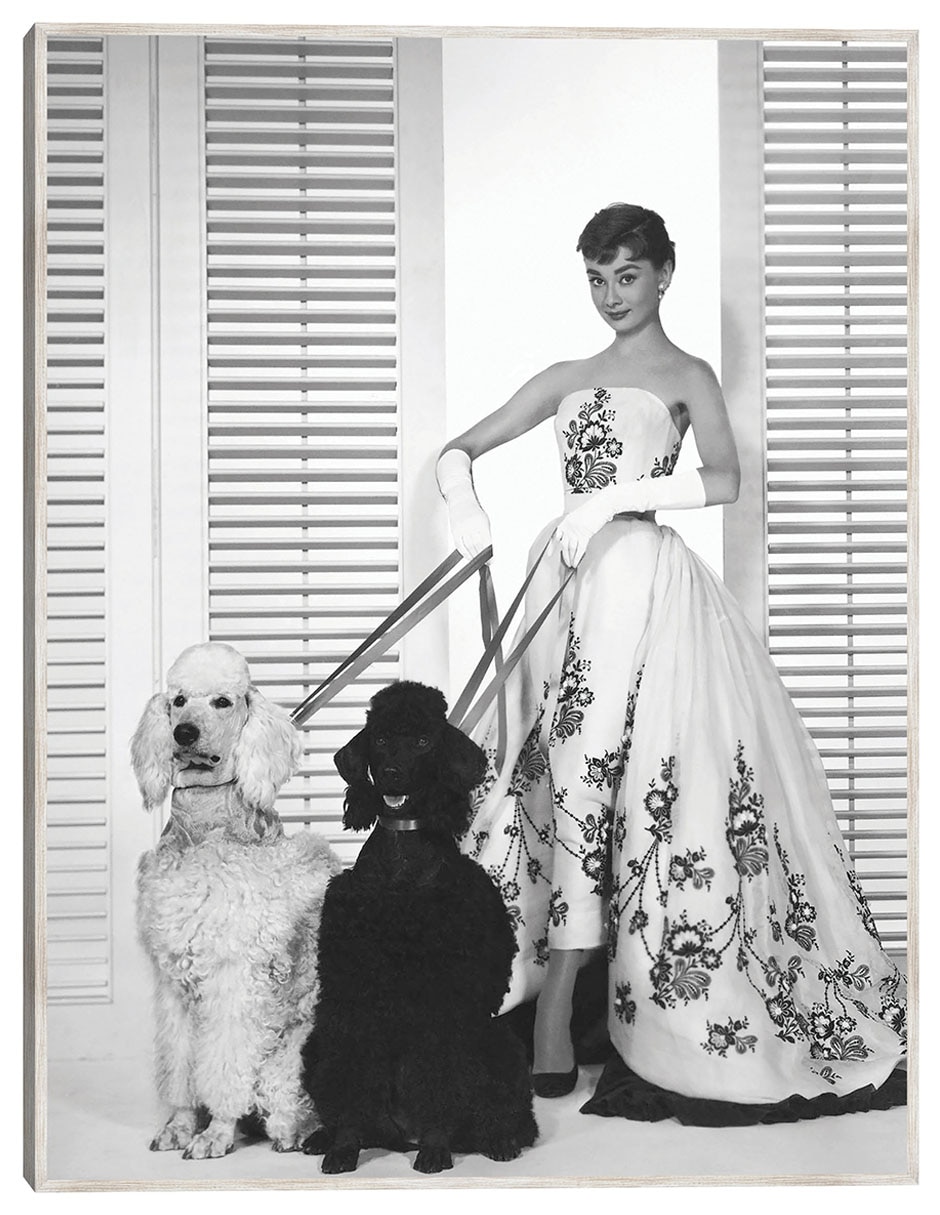 Cuadro decorativo Audrey Hepburn En Sabrina (1954) técnica mixta Retratos