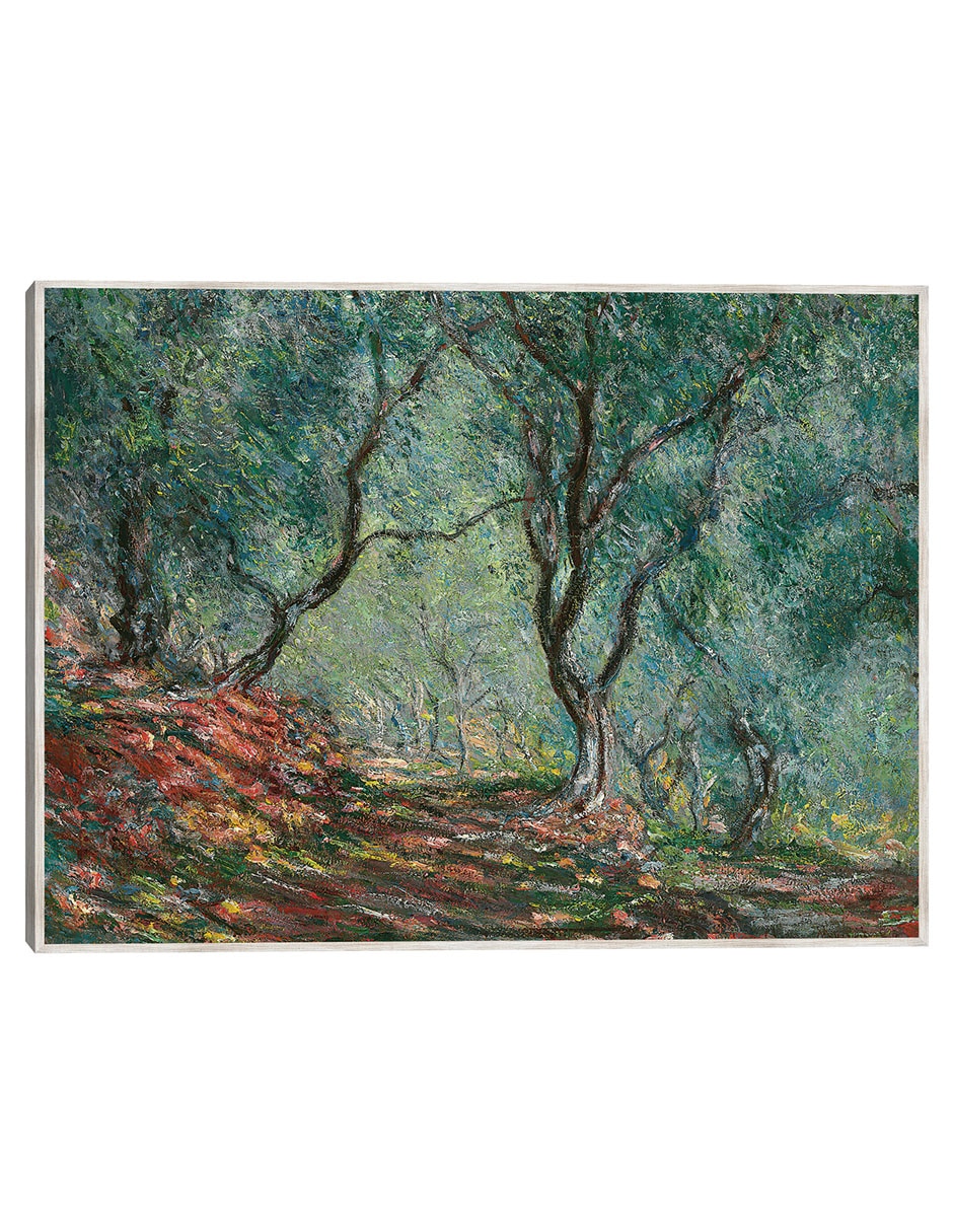 Cuadro decorativo Bosque De Oliviers En El Jardín Moreno (1884) técnica mixta Campos Cuadro decorativo Bosque De Oliviers En El Jardín Moreno (1884) técnica mixta Campos