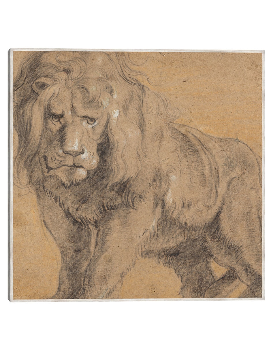 Cuadro decorativo León (C. 1612-1613) técnica mixta Bocetos