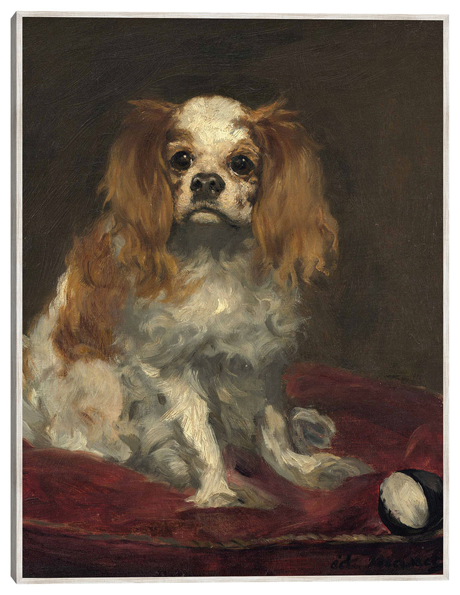 Cuadro decorativo Un Rey Charles Spaniel técnica mixta Animales Domésticos