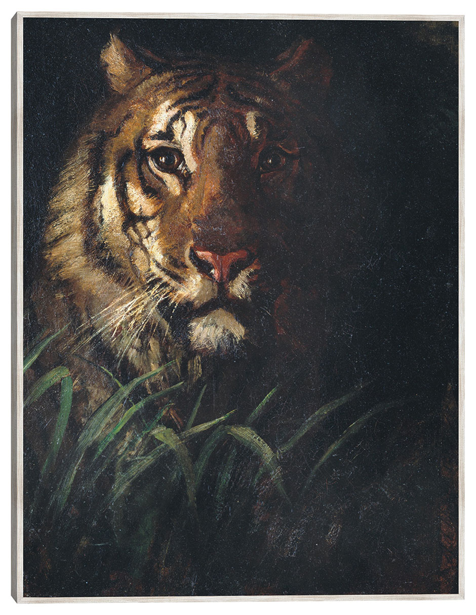 Cuadro decorativo Cabeza De Tigre (Hacia 1874) técnica mixta Vida Silvestre