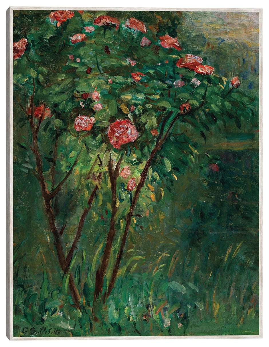 Cuadro decorativo El Rosal En Flor C. 1884-1885 técnica mixta 1