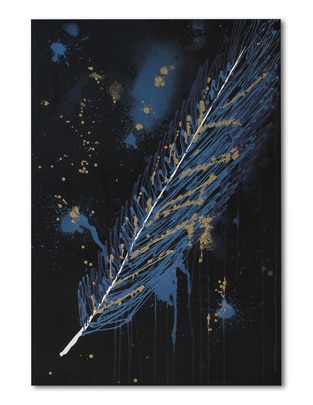 Cuadro decorativo Feather abstract 1