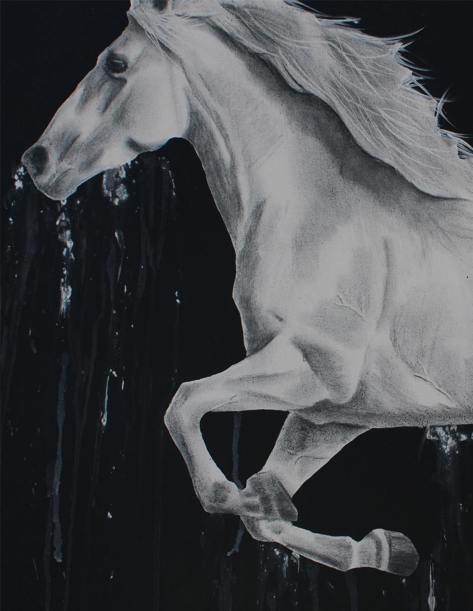 Cuadro decorativo Ecléctico White horse