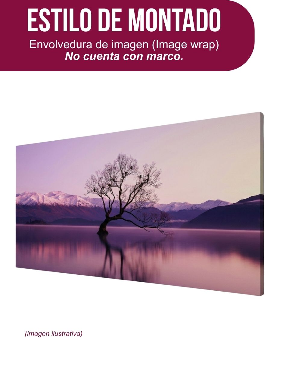 Cuadro decorativo paisaje lago púrpura