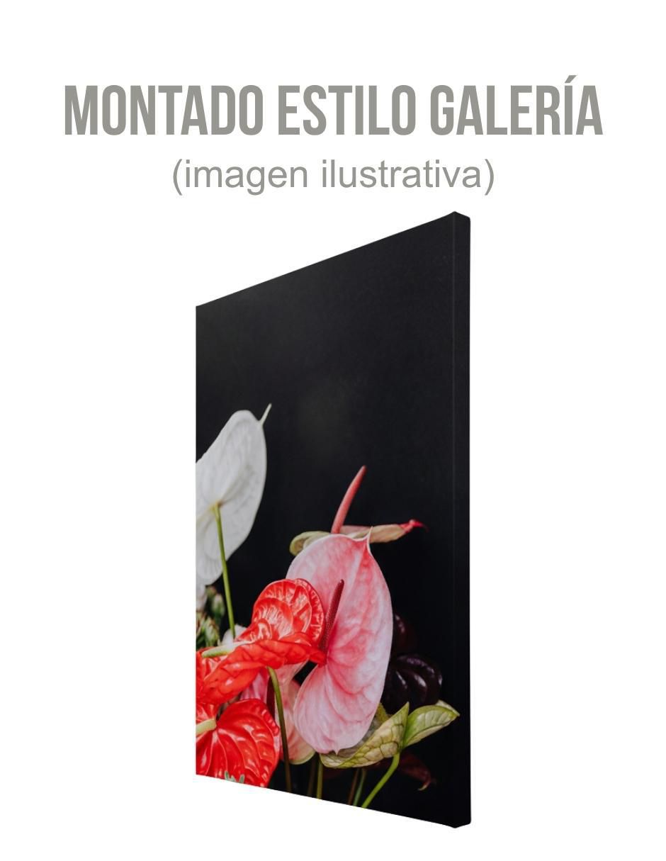 Cuadro decorativo Planta Anturio 2