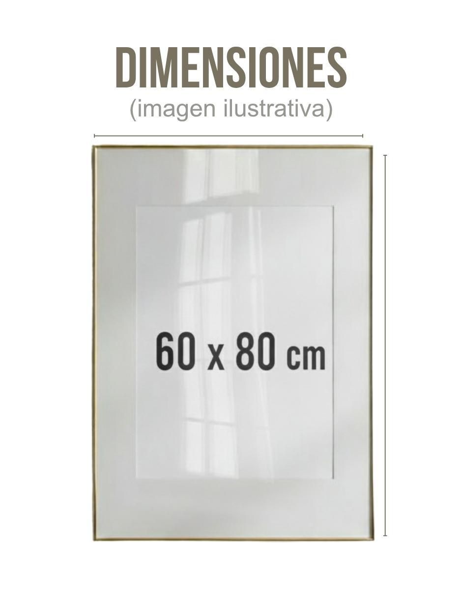 Cuadro decorativo Planta Anturio 10