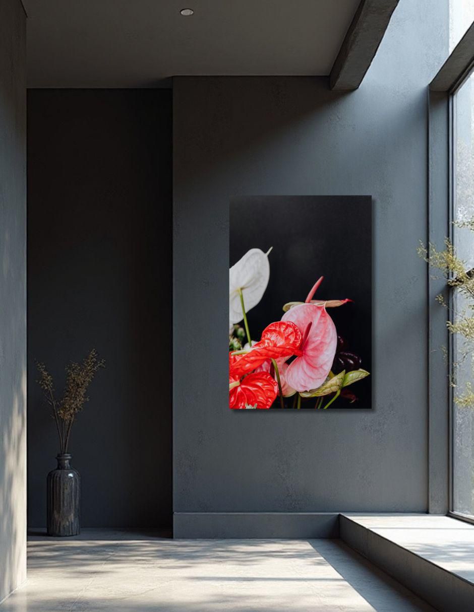 Cuadro decorativo Planta Anturio Cuadro decorativo Planta Anturio