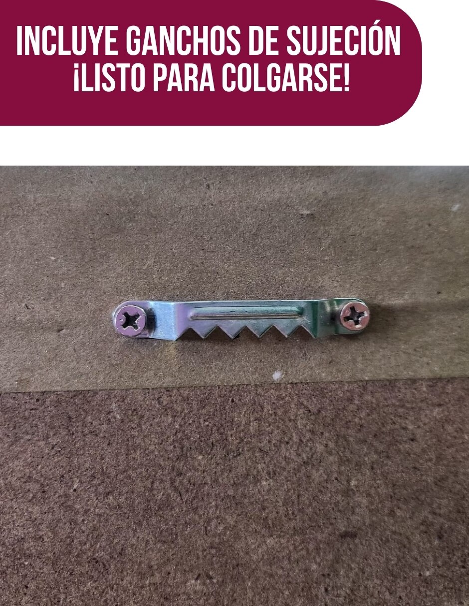 Cuadro decorativo Planta Anturio 7