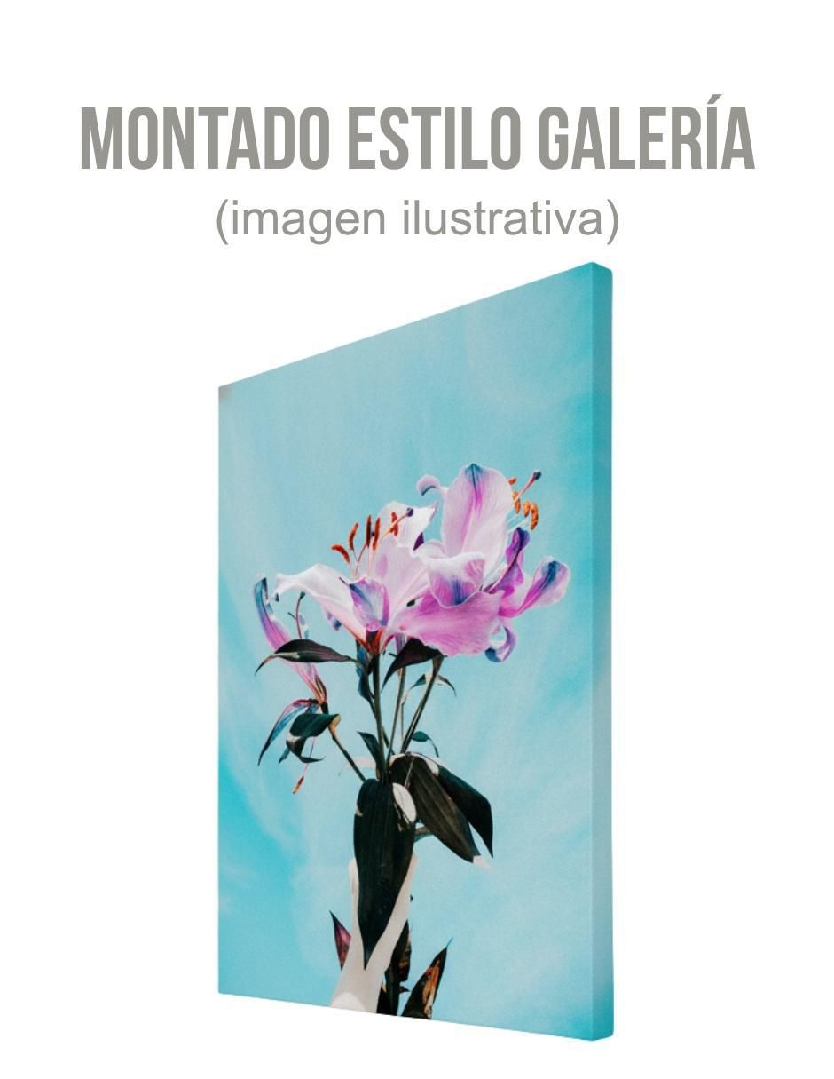Cuadro decorativo planta lirio cósmico