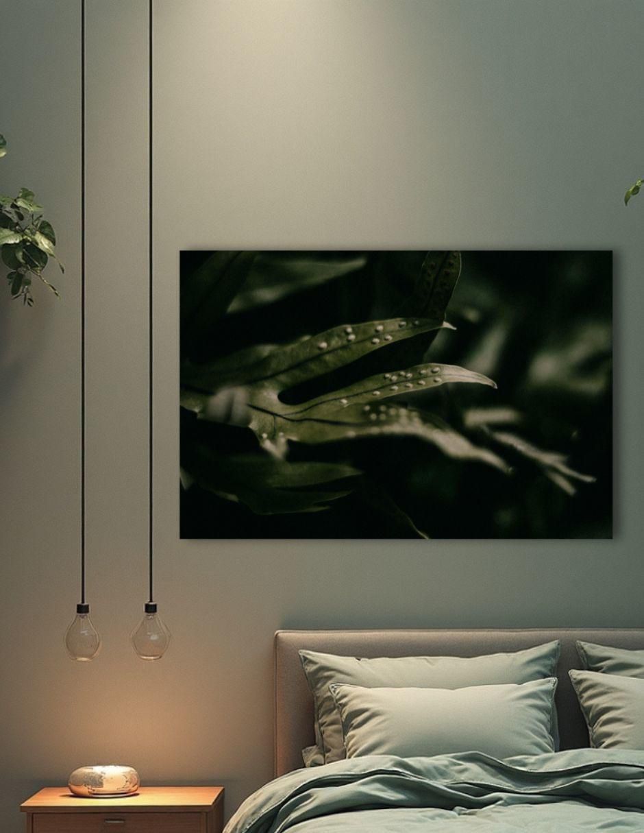 Cuadro decorativo planta helecho
