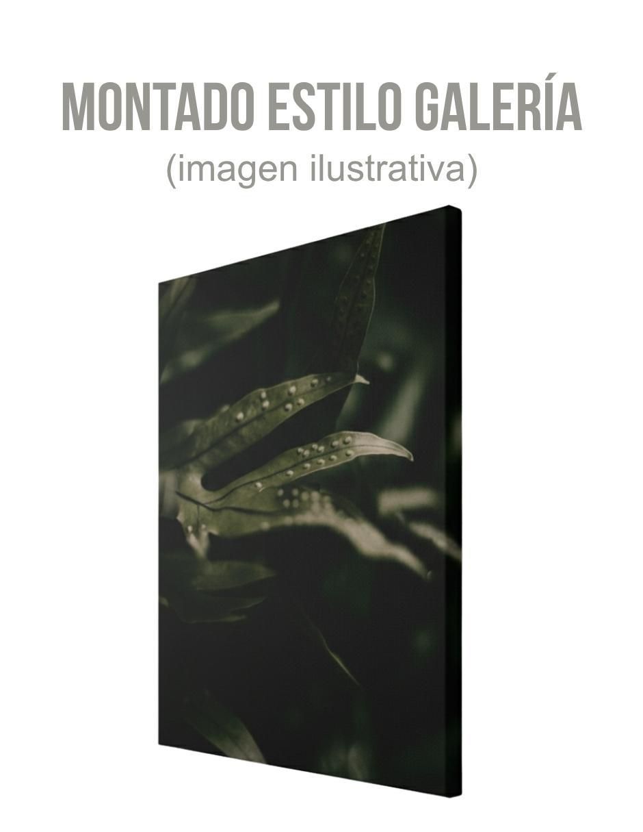 Cuadro decorativo planta helecho
