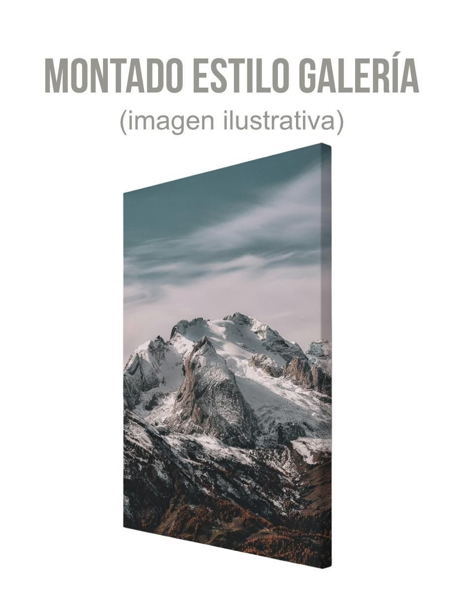 Cuadro decorativo Generica paisaje cima glaciar