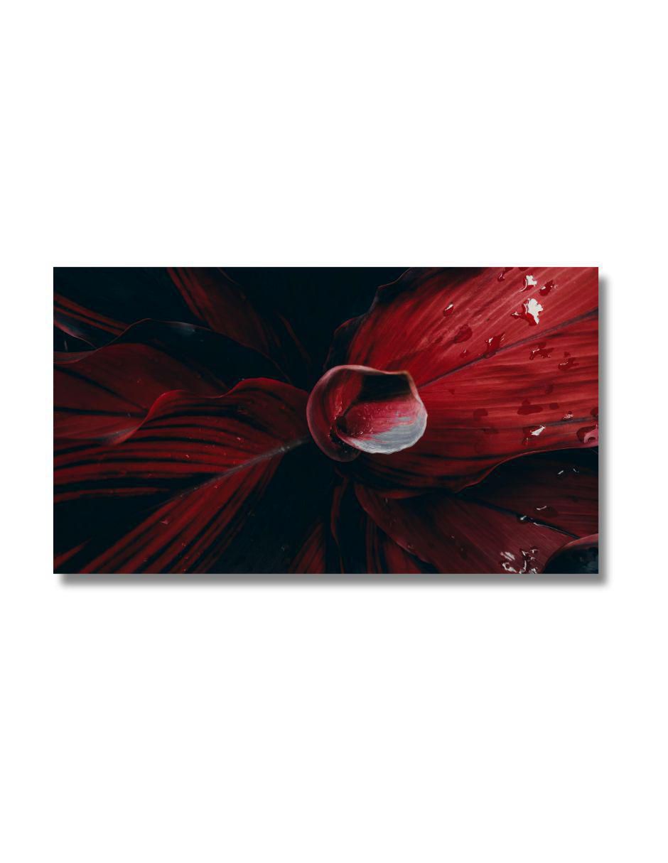 Cuadro decorativo Planta Trópico Borgoña Cuadro decorativo Planta Trópico Borgoña