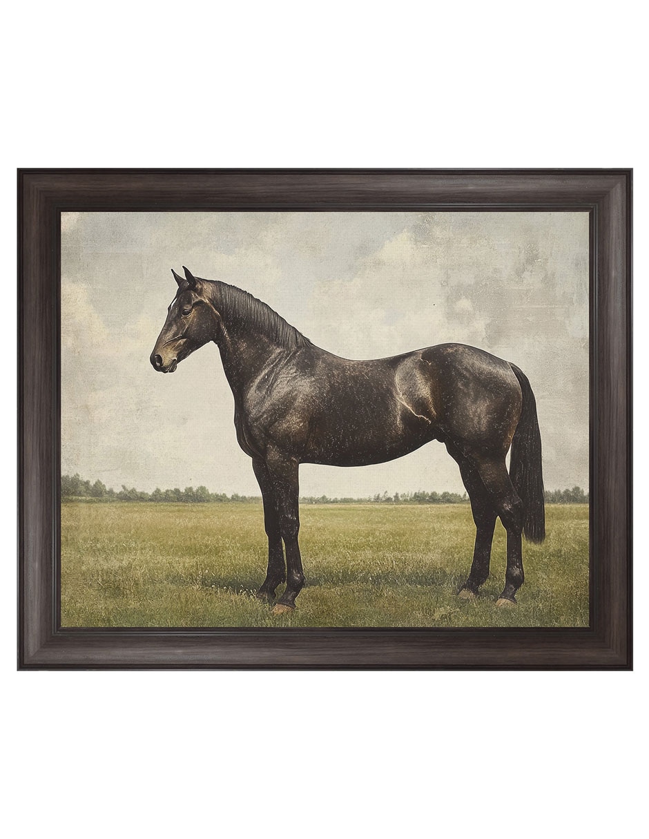 Cuadro decorativo Caballo Expreso Por Petals Prints Design técnica mixta