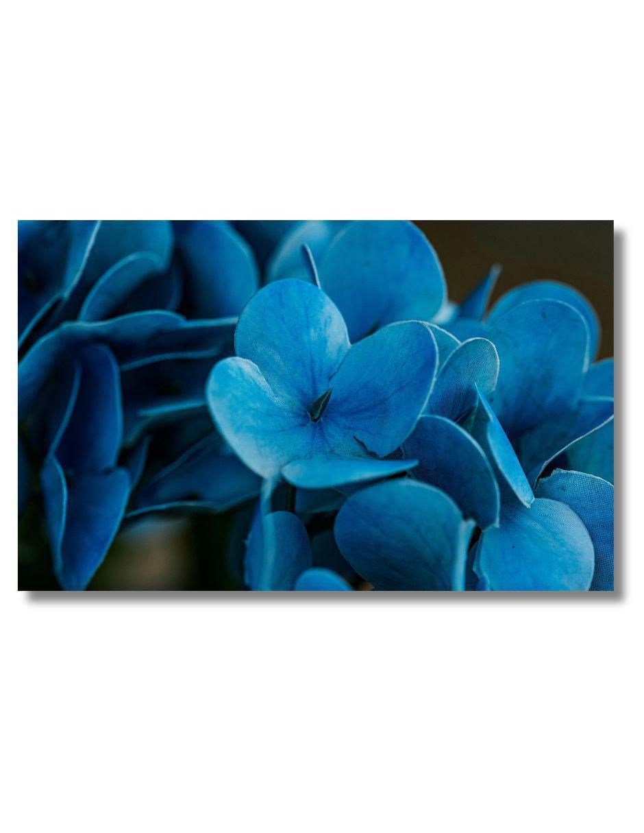 Cuadro decorativo 1