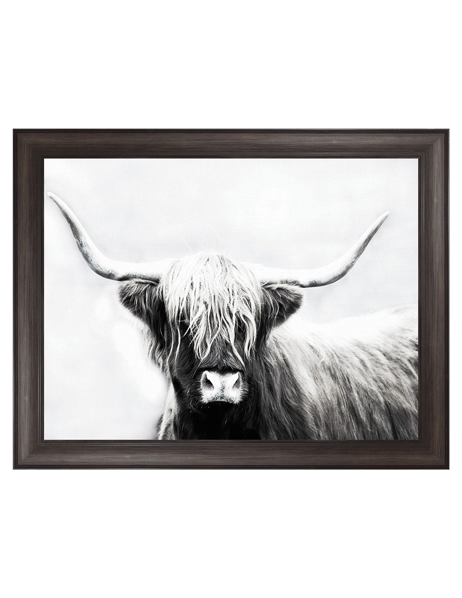 Cuadro decorativo Longhorn De Las Tierras Altas De Danita Delimont técnica mixta Cuadro decorativo Longhorn De Las Tierras Altas De Danita Delimont técnica mixta