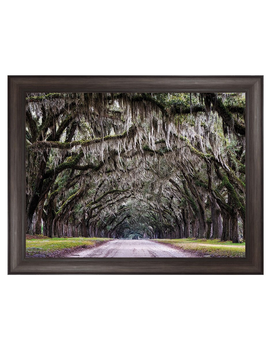 Cuadro decorativo Callejón Wormsloe De Andy Crawford técnica mixta