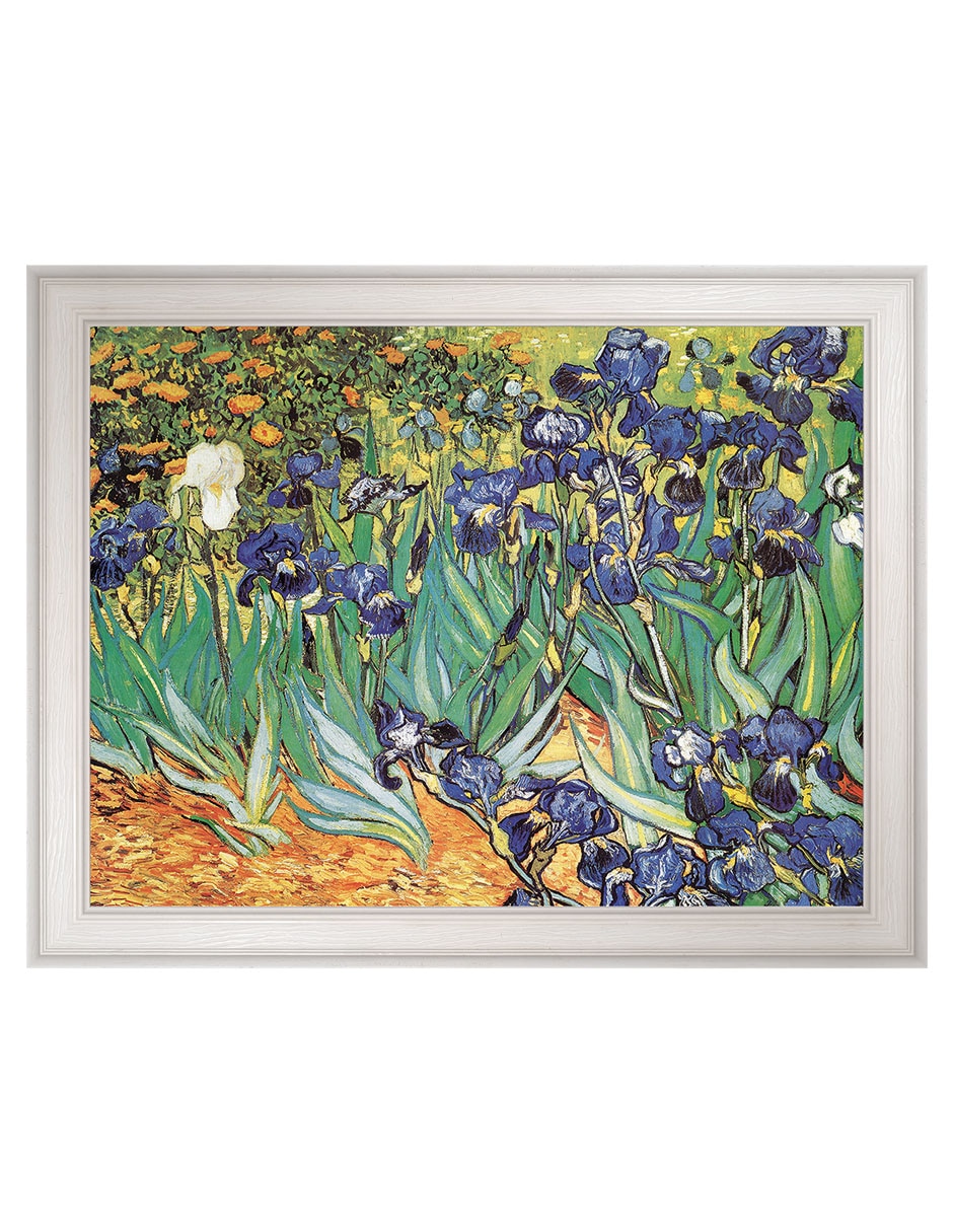 Cuadro decorativo Van Gogh Jardín de iris de Portfolio Arts Group técnica mixta