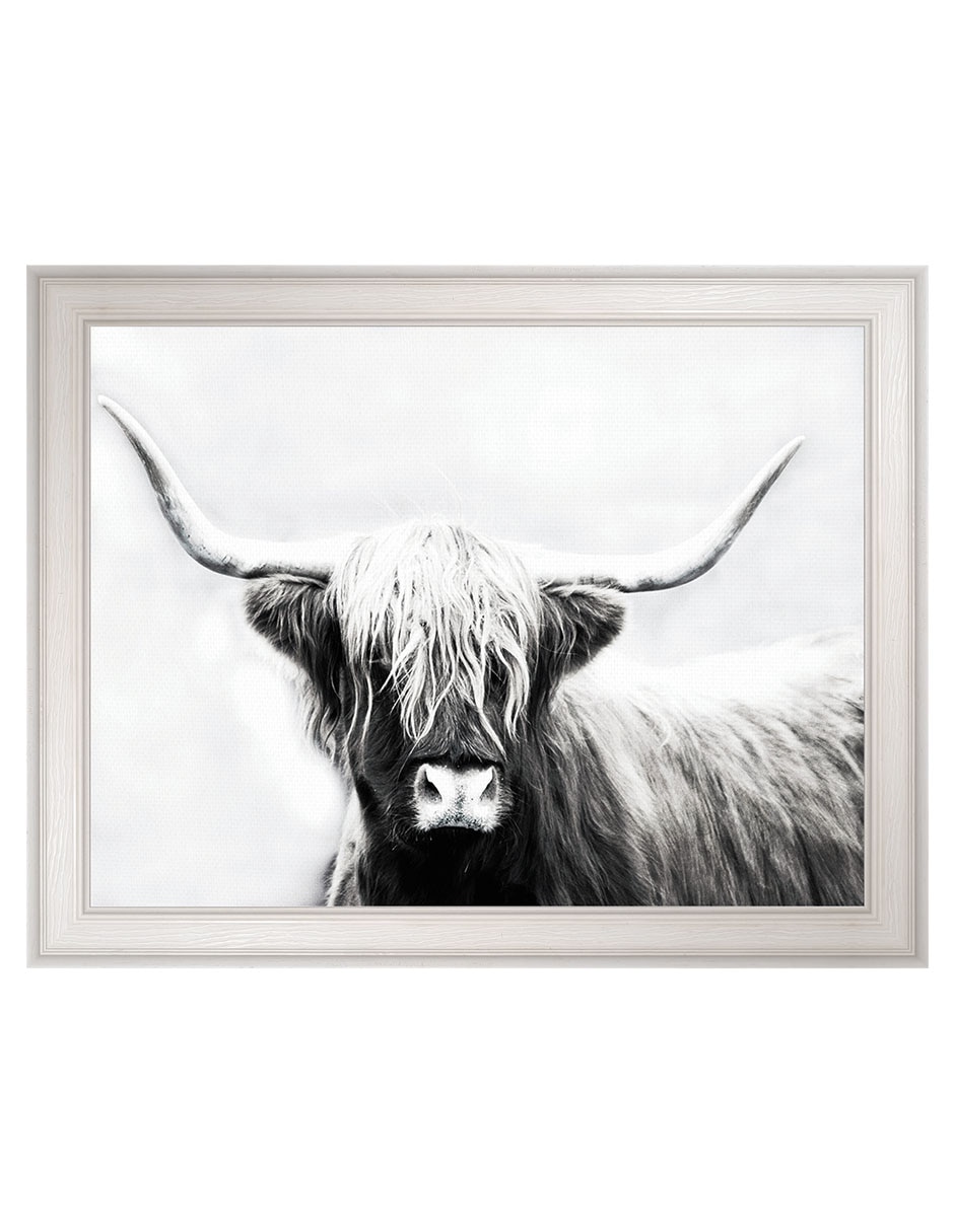 Cuadro decorativo Longhorn De Las Tierras Altas De Danita Delimont técnica mixta Cuadro decorativo Longhorn De Las Tierras Altas De Danita Delimont técnica mixta