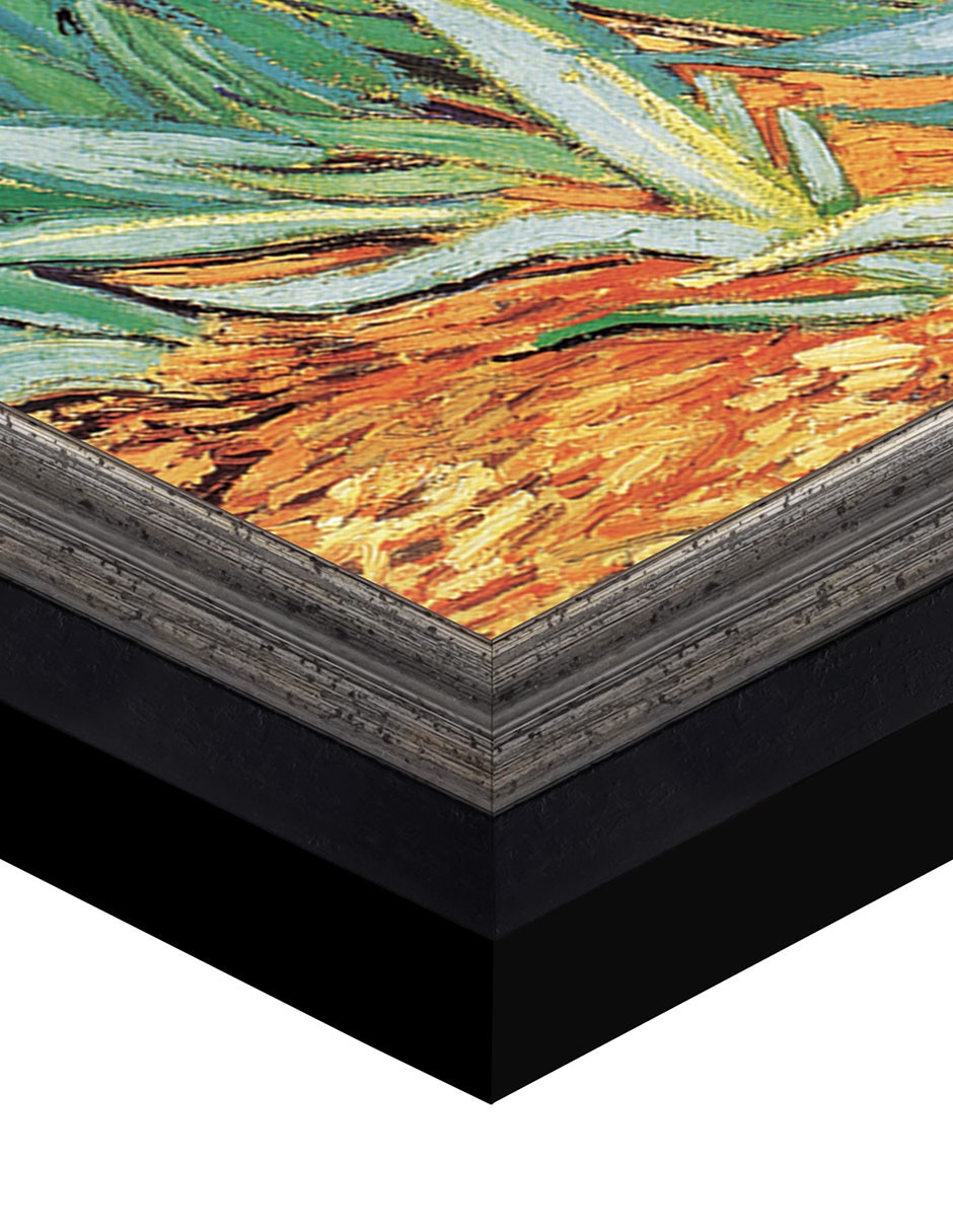 Cuadro decorativo Van Gogh Jardín de iris de Portfolio Arts Group mixta 2