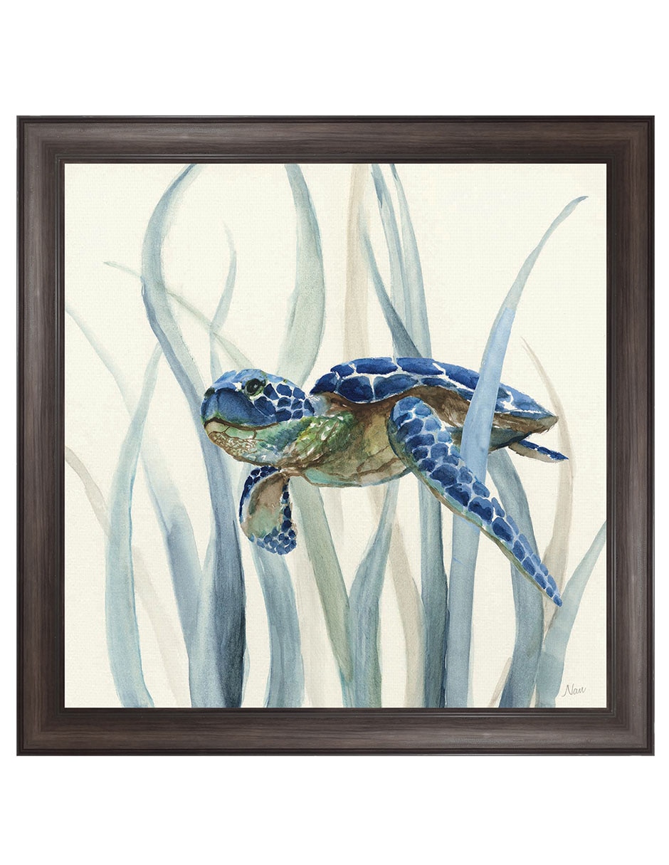 Cuadro decorativo Tortuga En Pasto Marino Ii De Nan técnica mixta Cuadro decorativo Tortuga En Pasto Marino Ii De Nan técnica mixta