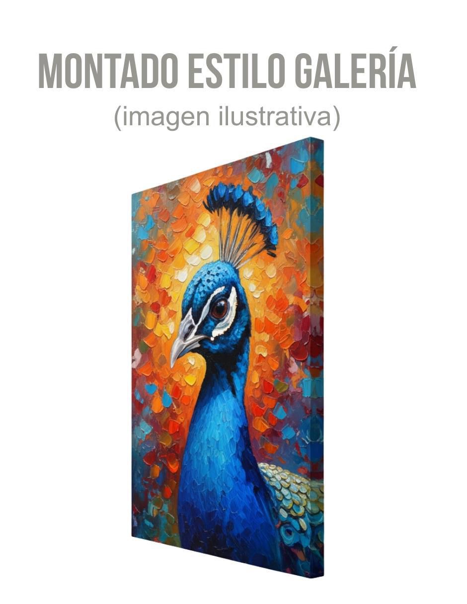 Cuadro decorativo Animal Pavo Real 3